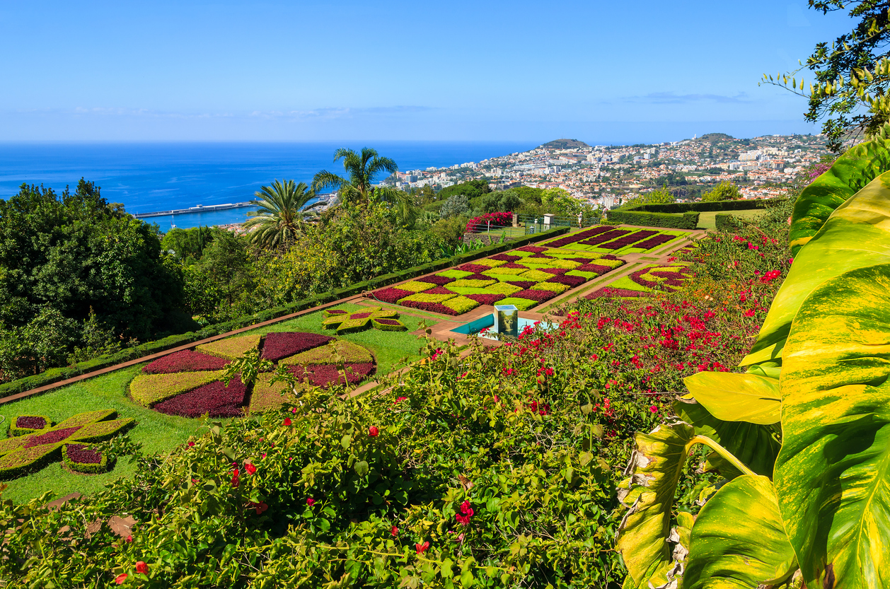 Ein farbiges Blumenparterre im Garten blickt über Funchal bis zum Atlantik.
