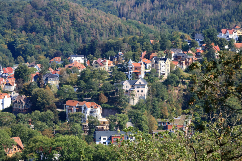 Panoramablick über Eisenach mit roten Dächern, Villen und viel Wald am Hang.