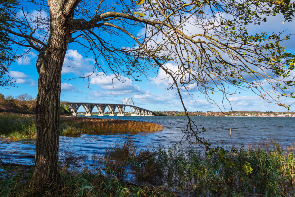 Eine lange Brücke spannt sich über das Wasser, im Vordergrund rahmen Äste und Uferpflanzen die Szene ein.