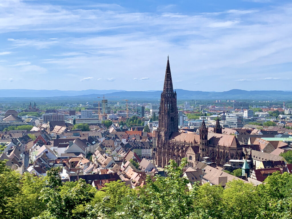Ein weiter Blick über die Stadt zeigt den markanten Turm des Münsters über den Häusern.