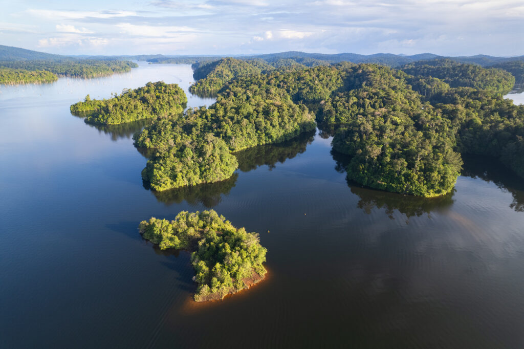 Ein großer Fluss mit grünen Inseln schlängelt sich durch dichten Regenwald.