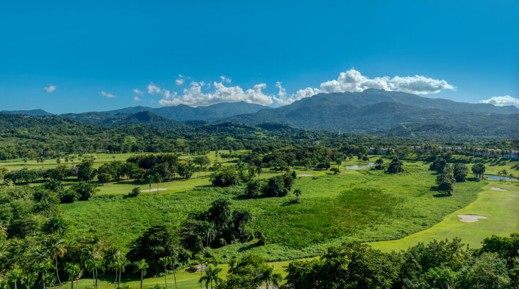 Weite grüne Landschaft mit Palmen und Bergkette unter blauem Himmel in Puerto Rico.