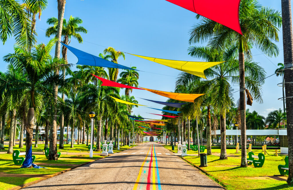Farbige Sonnensegel hängen über einer geraden Straße mit vielen Palmen.