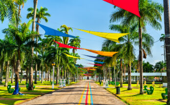 Farbige Sonnensegel hängen über einer geraden Straße mit vielen Palmen.