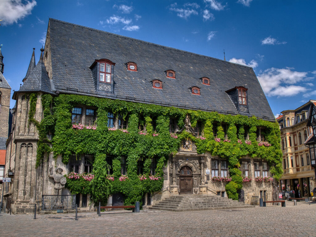 Das efeubewachsene Rathaus in Quedlinburg steht mit Blumenbalkonen am Marktplatz.