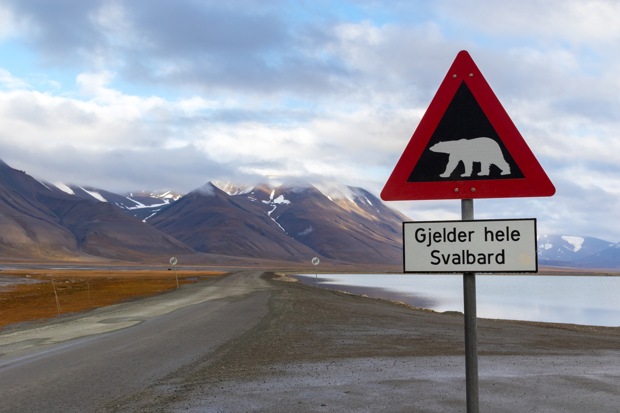 Ein rotes Warnschild mit Eisbär-Symbol steht an einer Straße vor Bergen auf Svalbard.