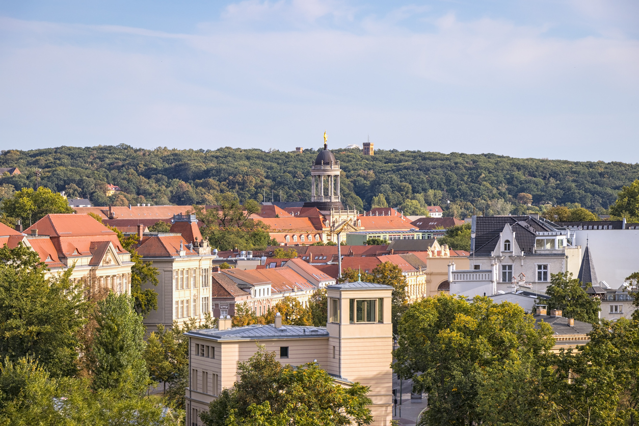 Eine erhöhte Ansicht zeigt die roten Ziegeldächer der Stadt und die goldene Figur auf der Kuppel des Stadtschlosses vor einem grünen Waldhügel.