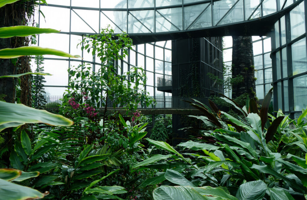 Üppiges grünes Gebüsch und Palmen wachsen in einem modernen Gewächshaus mit Glaskuppel.