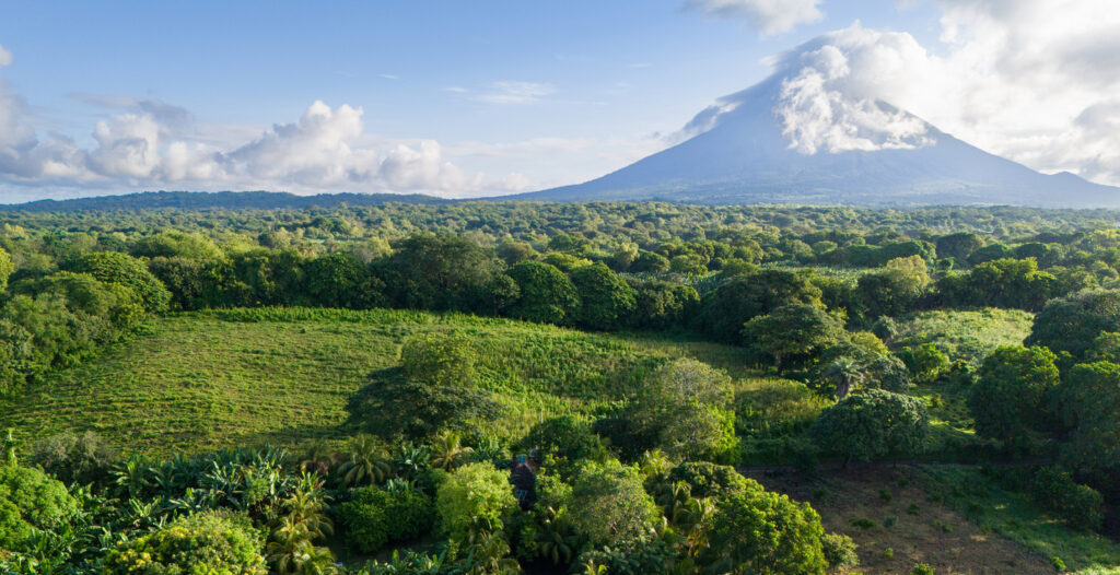 Großer Vulkan erhebt sich über grünem Regenwald in Nicaragua.