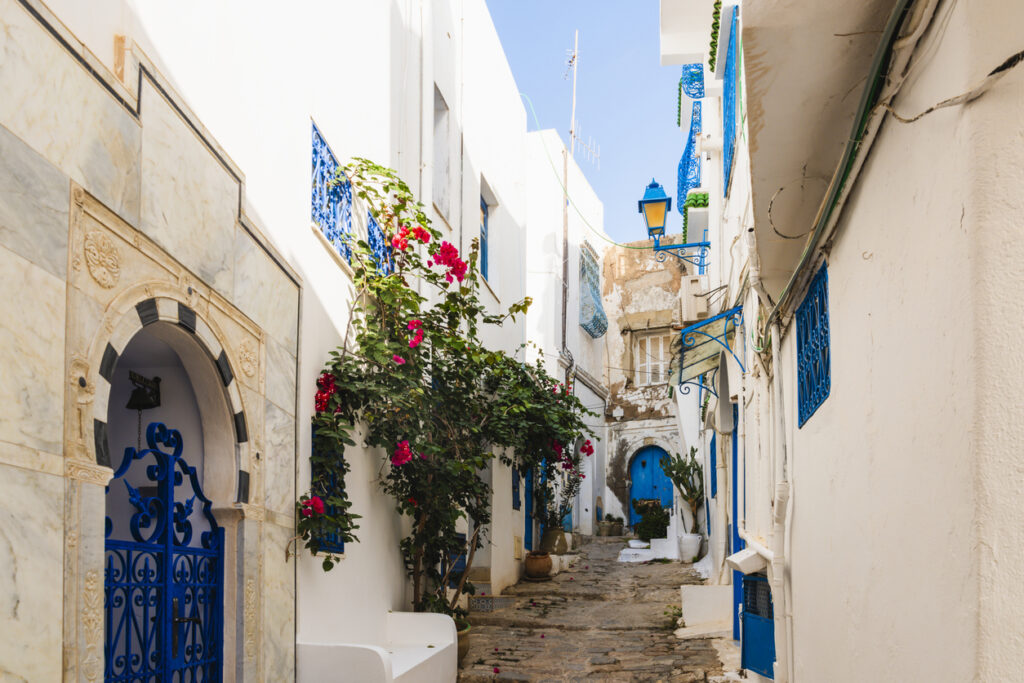 Eine schmale, kopfsteingepflasterte Gasse mit weißen Hauswänden, blauen Fenstern und Türen sowie blühenden pinkfarbenen Bougainvillea.