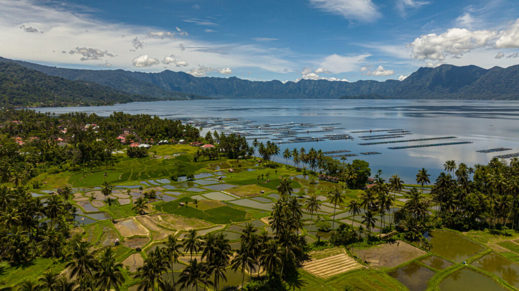 Grüne Reisfelder erstrecken sich vor einem weiten See und einer hohen Gebirgskette.
