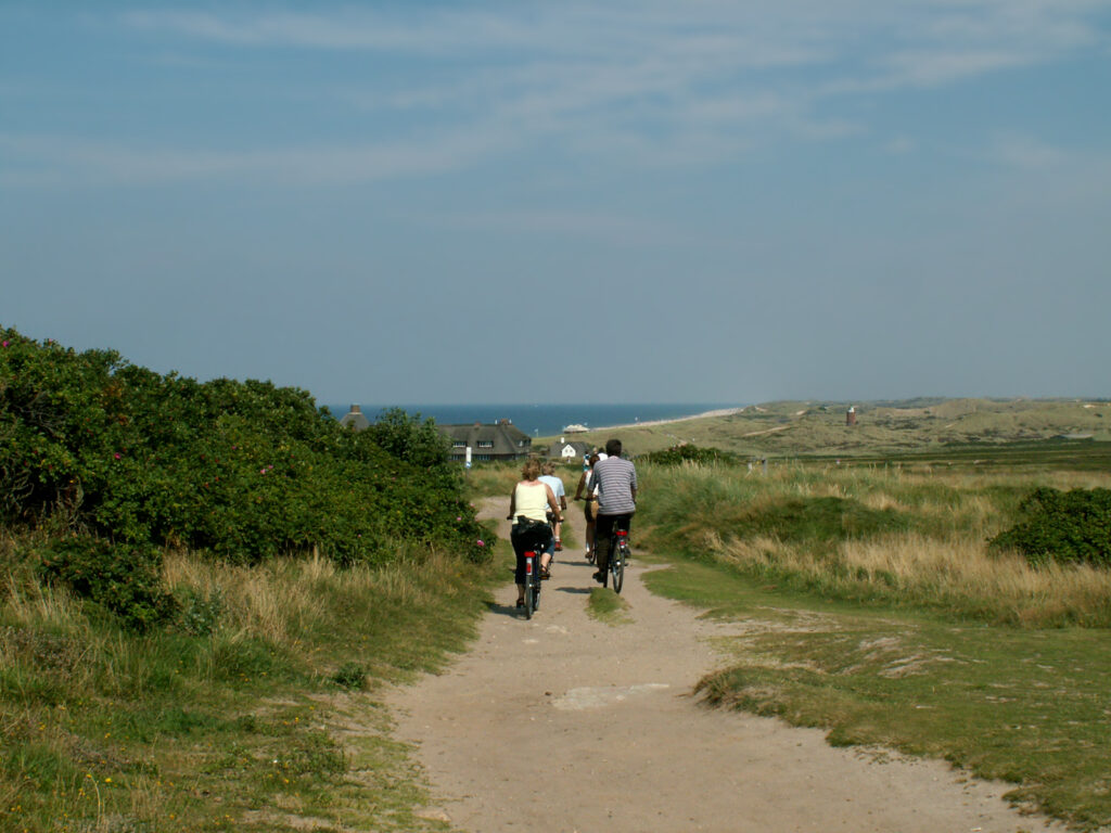 Eine Gruppe von Radfahrern fährt auf einem sandigen Pfad durch eine weite Gras- und Dünenlandschaft in Richtung Meer.